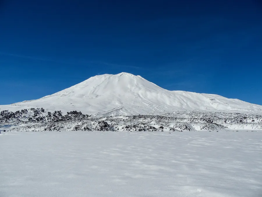Volcán Lonquimay nevado visto desde la Reserva Nacional Malalcahuello-Nalcas, Región de La Araucanía, Chile.